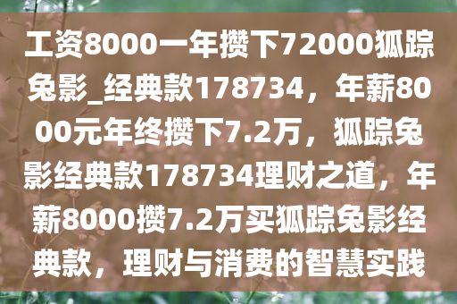 工资8000一年攒下72000狐踪兔影_经典款178734，年薪8000元年终攒下7.2万，狐踪兔影经典款178734理财之道，年薪8000攒7.2万买狐踪兔影经典款，理财与消费的智慧实践