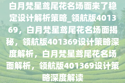 白月梵星鸢尾花名场面来了稳定设计解析策略_领航版401369，白月梵星鸢尾花名场面揭秘，领航版401369设计策略深度解析，白月梵星鸢尾花名场面解析，领航版401369设计策略深度解读