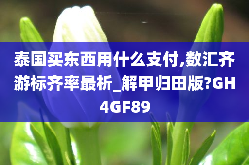 泰国买东西用什么支付,数汇齐游标齐率最析_解甲归田版?GH4GF89