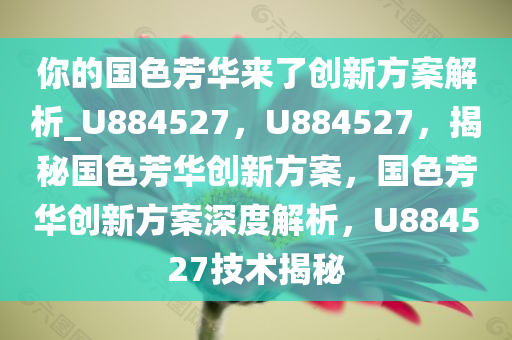 你的国色芳华来了创新方案解析_U884527，U884527，揭秘国色芳华创新方案，国色芳华创新方案深度解析，U884527技术揭秘