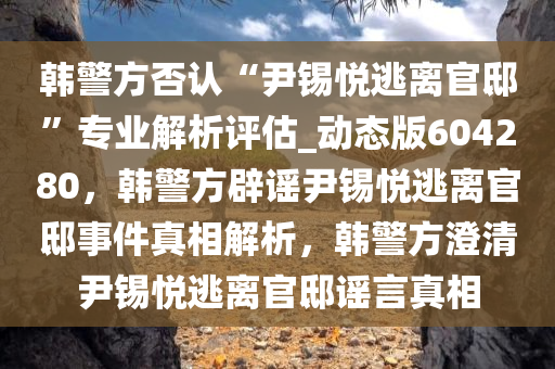 韩警方否认“尹锡悦逃离官邸”专业解析评估_动态版604280，韩警方辟谣尹锡悦逃离官邸事件真相解析，韩警方澄清尹锡悦逃离官邸谣言真相