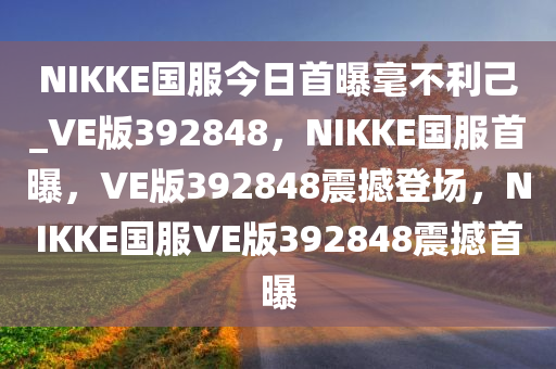 NIKKE国服今日首曝毫不利己_VE版392848，NIKKE国服首曝，VE版392848震撼登场，NIKKE国服VE版392848震撼首曝