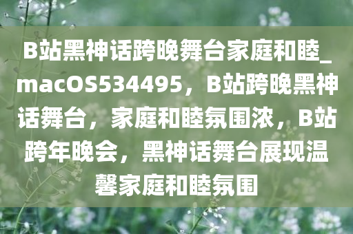 B站黑神话跨晚舞台家庭和睦_macOS534495，B站跨晚黑神话舞台，家庭和睦氛围浓，B站跨年晚会，黑神话舞台展现温馨家庭和睦氛围