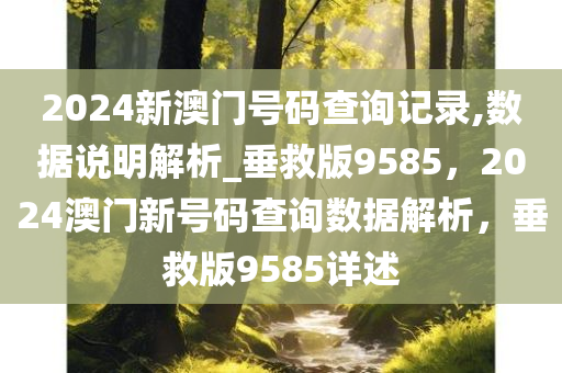 2024新澳门号码查询记录,数据说明解析_垂救版9585，2024澳门新号码查询数据解析，垂救版9585详述