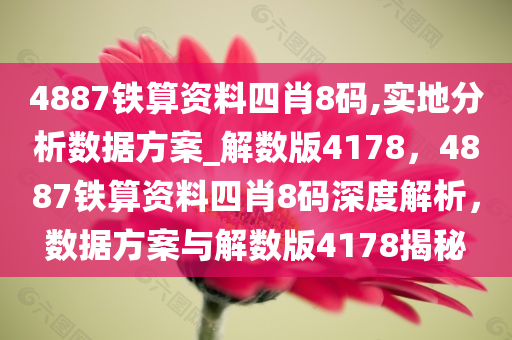 4887铁算资料四肖8码,实地分析数据方案_解数版4178，4887铁算资料四肖8码深度解析，数据方案与解数版4178揭秘