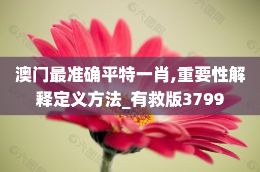 澳门最准确平特一肖,重要性解释定义方法_有救版3799