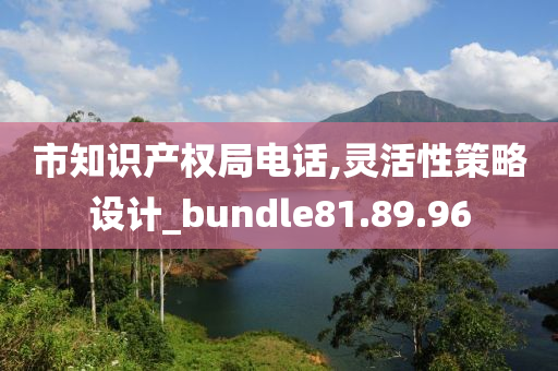 市知识产权局电话,灵活性策略设计_bundle81.89.96