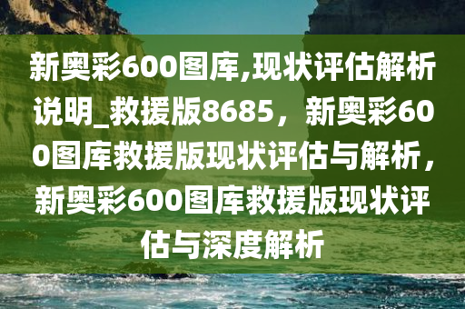 新奥彩600图库,现状评估解析说明_救援版8685，新奥彩600图库救援版现状评估与解析，新奥彩600图库救援版现状评估与深度解析