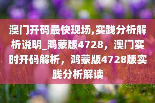 澳门开码最快现场,实践分析解析说明_鸿蒙版4728，澳门实时开码解析，鸿蒙版4728版实践分析解读