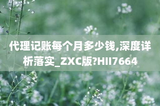 代理记账每个月多少钱,深度详析落实_ZXC版?HII7664