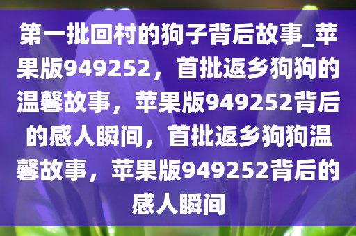 第一批回村的狗子背后故事_苹果版949252，首批返乡狗狗的温馨故事，苹果版949252背后的感人瞬间，首批返乡狗狗温馨故事，苹果版949252背后的感人瞬间