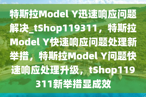 特斯拉Model Y迅速响应问题解决_tShop119311，特斯拉Model Y快速响应问题处理新举措，特斯拉Model Y问题快速响应处理升级，tShop119311新举措显成效