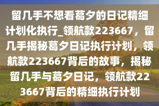 留几手不想看葛夕的日记精细计划化执行_领航款223667，留几手揭秘葛夕日记执行计划，领航款223667背后的故事，揭秘留几手与葛夕日记，领航款223667背后的精细执行计划