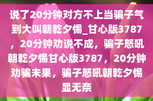 说了20分钟对方不上当骗子气到大叫朝乾夕惕_甘心版3787，20分钟劝说不成，骗子怒吼朝乾夕惕甘心版3787，20分钟劝骗未果，骗子怒吼朝乾夕惕显无奈