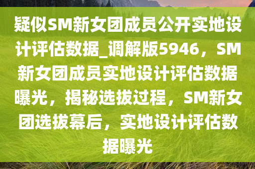 疑似SM新女团成员公开实地设计评估数据_调解版5946，SM新女团成员实地设计评估数据曝光，揭秘选拔过程，SM新女团选拔幕后，实地设计评估数据曝光