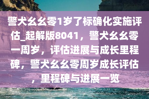 警犬幺幺零1岁了标确化实施评估_起解版8041，警犬幺幺零一周岁，评估进展与成长里程碑，警犬幺幺零周岁成长评估，里程碑与进展一览