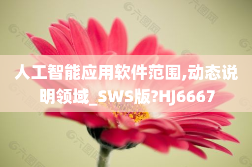 人工智能应用软件范围,动态说明领域_SWS版?HJ6667