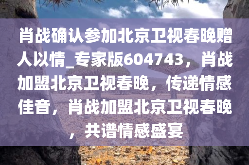 肖战确认参加北京卫视春晚赠人以情_专家版604743，肖战加盟北京卫视春晚，传递情感佳音，肖战加盟北京卫视春晚，共谱情感盛宴