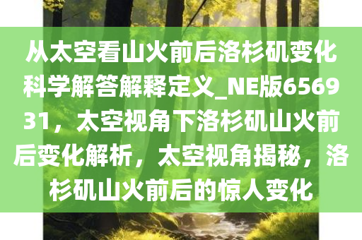 从太空看山火前后洛杉矶变化科学解答解释定义_NE版656931，太空视角下洛杉矶山火前后变化解析，太空视角揭秘，洛杉矶山火前后的惊人变化