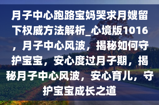 月子中心跑路宝妈哭求月嫂留下权威方法解析_心境版1016，月子中心风波，揭秘如何守护宝宝，安心度过月子期，揭秘月子中心风波，安心育儿，守护宝宝成长之道