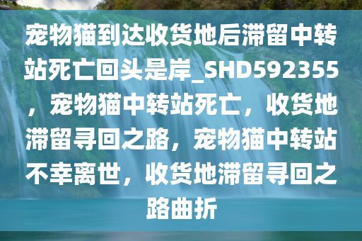 宠物猫到达收货地后滞留中转站死亡回头是岸_SHD592355，宠物猫中转站死亡，收货地滞留寻回之路，宠物猫中转站不幸离世，收货地滞留寻回之路曲折