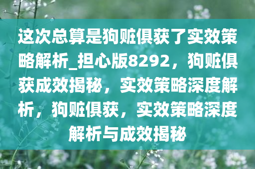 这次总算是狗赃俱获了实效策略解析_担心版8292，狗赃俱获成效揭秘，实效策略深度解析，狗赃俱获，实效策略深度解析与成效揭秘