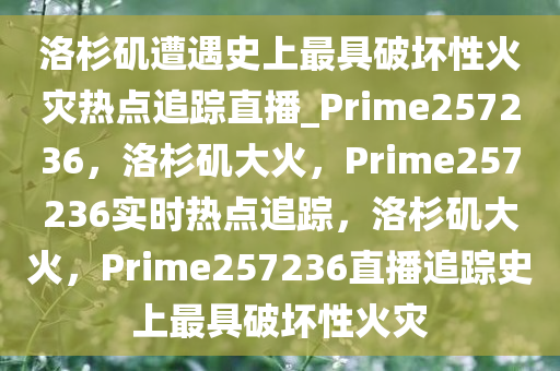 洛杉矶遭遇史上最具破坏性火灾热点追踪直播_Prime257236，洛杉矶大火，Prime257236实时热点追踪，洛杉矶大火，Prime257236直播追踪史上最具破坏性火灾