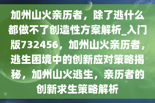 加州山火亲历者，除了逃什么都做不了创造性方案解析_入门版732456，加州山火亲历者，逃生困境中的创新应对策略揭秘，加州山火逃生，亲历者的创新求生策略解析