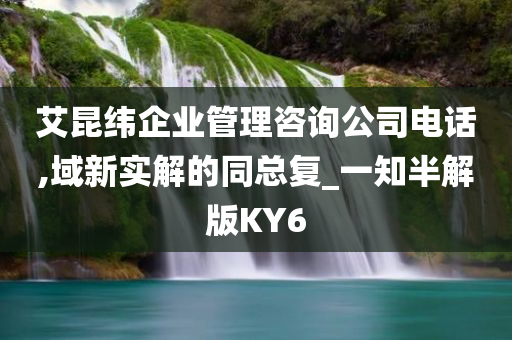 艾昆纬企业管理咨询公司电话,域新实解的同总复_一知半解版KY6