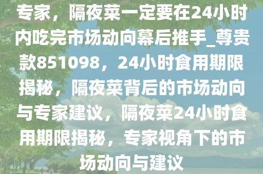 专家，隔夜菜一定要在24小时内吃完市场动向幕后推手_尊贵款851098，24小时食用期限揭秘，隔夜菜背后的市场动向与专家建议，隔夜菜24小时食用期限揭秘，专家视角下的市场动向与建议