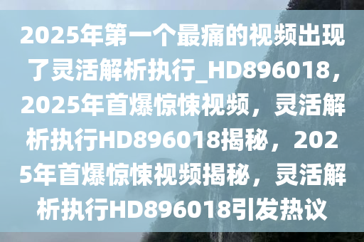 2025年第一个最痛的视频出现了灵活解析执行_HD896018，2025年首爆惊悚视频，灵活解析执行HD896018揭秘，2025年首爆惊悚视频揭秘，灵活解析执行HD896018引发热议