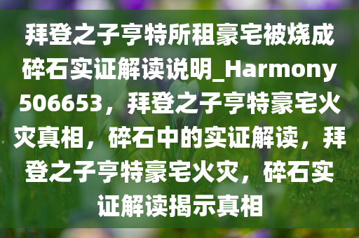 拜登之子亨特所租豪宅被烧成碎石实证解读说明_Harmony506653，拜登之子亨特豪宅火灾真相，碎石中的实证解读，拜登之子亨特豪宅火灾，碎石实证解读揭示真相