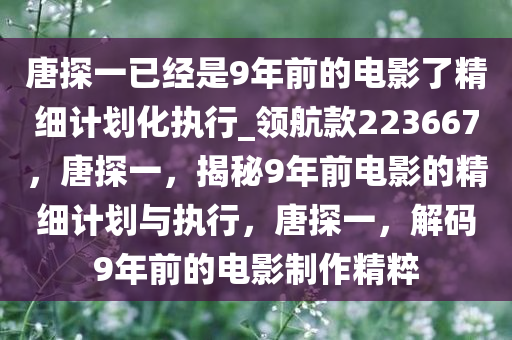 唐探一已经是9年前的电影了精细计划化执行_领航款223667，唐探一，揭秘9年前电影的精细计划与执行，唐探一，解码9年前的电影制作精粹