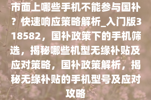 市面上哪些手机不能参与国补？快速响应策略解析_入门版318582，国补政策下的手机筛选，揭秘哪些机型无缘补贴及应对策略，国补政策解析，揭秘无缘补贴的手机型号及应对攻略