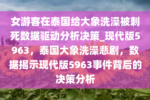 女游客在泰国给大象洗澡被刺死数据驱动分析决策_现代版5963，泰国大象洗澡悲剧，数据揭示现代版5963事件背后的决策分析