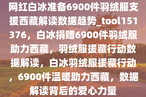 网红白冰准备6900件羽绒服支援西藏解读数据趋势_tool151376，白冰捐赠6900件羽绒服助力西藏，羽绒服援藏行动数据解读，白冰羽绒服援藏行动，6900件温暖助力西藏，数据解读背后的爱心力量