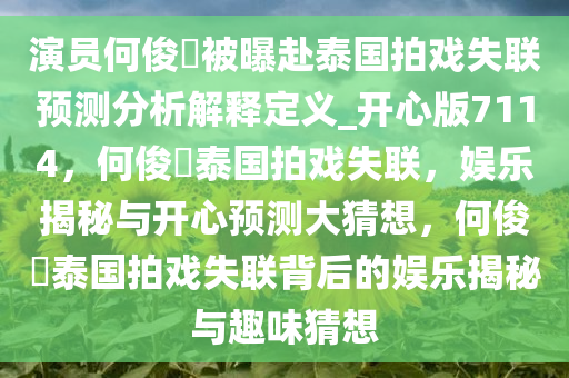 演员何俊旻被曝赴泰国拍戏失联预测分析解释定义_开心版7114，何俊旻泰国拍戏失联，娱乐揭秘与开心预测大猜想，何俊旻泰国拍戏失联背后的娱乐揭秘与趣味猜想