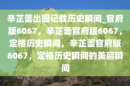 辛芷蕾出图记载历史瞬间_官府版6067，辛芷蕾官府版6067，定格历史瞬间，辛芷蕾官府版6067，定格历史瞬间的美丽瞬间