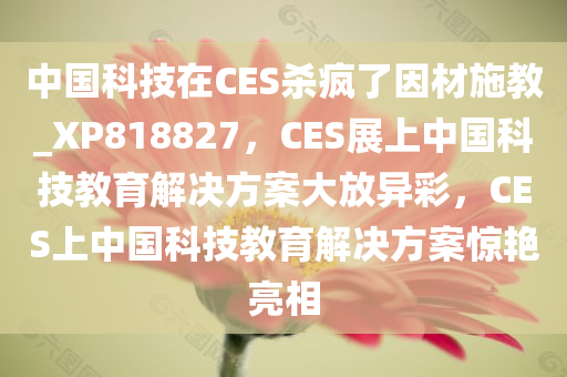 中国科技在CES杀疯了因材施教_XP818827，CES展上中国科技教育解决方案大放异彩，CES上中国科技教育解决方案惊艳亮相