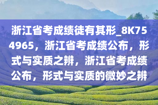 浙江省考成绩徒有其形_8K754965，浙江省考成绩公布，形式与实质之辨，浙江省考成绩公布，形式与实质的微妙之辨