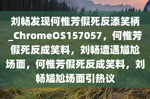 刘畅发现何惟芳假死反添笑柄_ChromeOS157057，何惟芳假死反成笑料，刘畅遭遇尴尬场面，何惟芳假死反成笑料，刘畅尴尬场面引热议