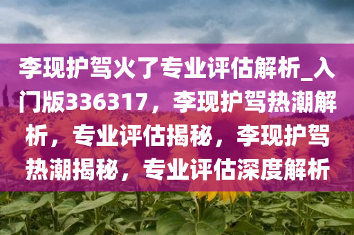 李现护驾火了专业评估解析_入门版336317，李现护驾热潮解析，专业评估揭秘，李现护驾热潮揭秘，专业评估深度解析