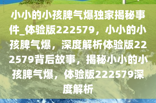 小小的小孩脾气爆独家揭秘事件_体验版222579，小小的小孩脾气爆，深度解析体验版222579背后故事，揭秘小小的小孩脾气爆，体验版222579深度解析