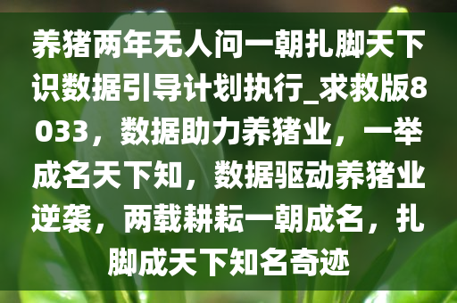 养猪两年无人问一朝扎脚天下识数据引导计划执行_求救版8033，数据助力养猪业，一举成名天下知，数据驱动养猪业逆袭，两载耕耘一朝成名，扎脚成天下知名奇迹