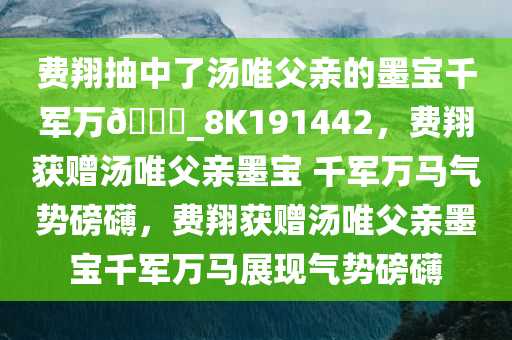 费翔抽中了汤唯父亲的墨宝千军万??_8K191442，费翔获赠汤唯父亲墨宝 千军万马气势磅礴，费翔获赠汤唯父亲墨宝千军万马展现气势磅礴