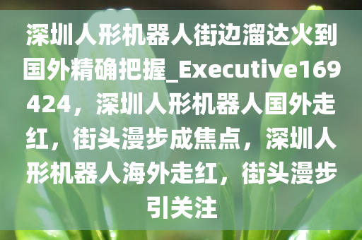 深圳人形机器人街边溜达火到国外精确把握_Executive169424，深圳人形机器人国外走红，街头漫步成焦点，深圳人形机器人海外走红，街头漫步引关注