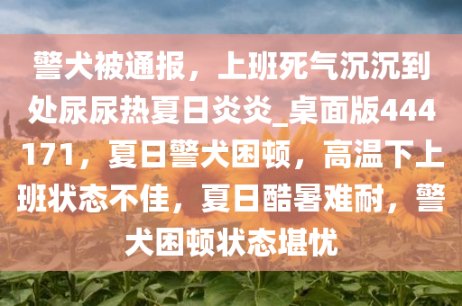 警犬被通报，上班死气沉沉到处尿尿热夏日炎炎_桌面版444171，夏日警犬困顿，高温下上班状态不佳，夏日酷暑难耐，警犬困顿状态堪忧