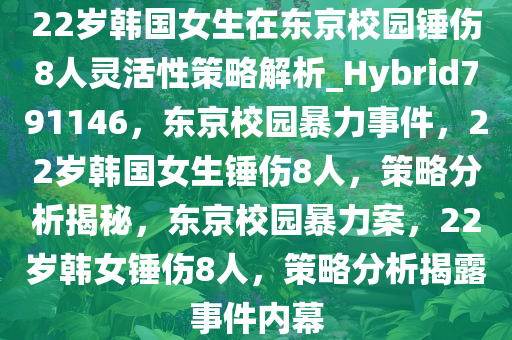 22岁韩国女生在东京校园锤伤8人灵活性策略解析_Hybrid791146，东京校园暴力事件，22岁韩国女生锤伤8人，策略分析揭秘，东京校园暴力案，22岁韩女锤伤8人，策略分析揭露事件内幕