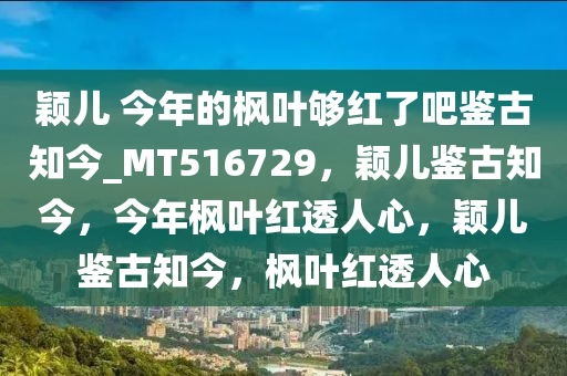 颖儿 今年的枫叶够红了吧鉴古知今_MT516729，颖儿鉴古知今，今年枫叶红透人心，颖儿鉴古知今，枫叶红透人心