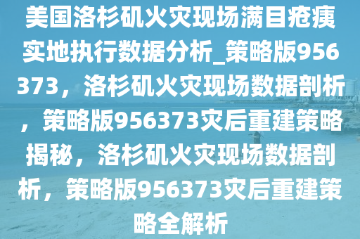 美国洛杉矶火灾现场满目疮痍实地执行数据分析_策略版956373，洛杉矶火灾现场数据剖析，策略版956373灾后重建策略揭秘，洛杉矶火灾现场数据剖析，策略版956373灾后重建策略全解析